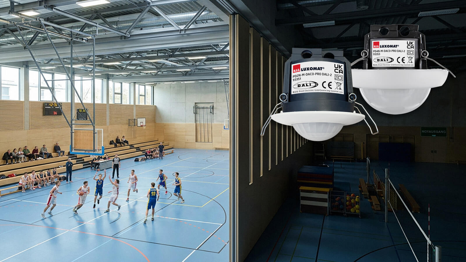 DALI-2-Leuchtenlösung für die automatische Beleuchtungssteuerung in einer Sporthalle mit Basketballspiel.