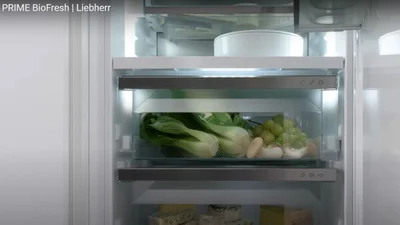 Kühlfächer, in denen frisches Obst und Gemüse liegt. Frontalansicht in einen geöffneten Kühlschrank.