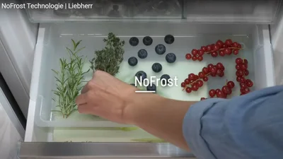 Person greift in das Kühlfach. Dort liegen Kräuter und Beeren.
