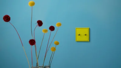 Das Bild zeigt einen hellgrünen Schalter des Herstellers Jung mit zwei Bedienelementen, der an einer blauen Wand montiert ist. Links daneben einzelnen Blumen in den Farben Gelb und Rot.