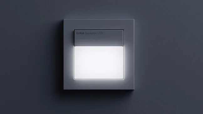 Das Bild zeigt einen dunklen Gira Sensotec LED an einer dunklen Wand.