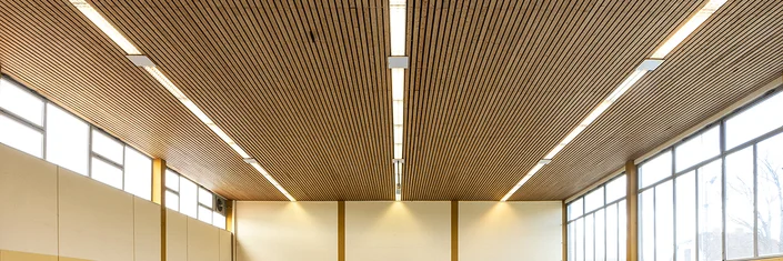 DOTLUX Sanierungsleuchten