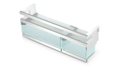 Einzelansicht Einschub mit zwei ausziehbaren Boxen für den Kühlschrank für kleinteilige Lebensmittel.