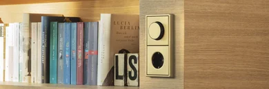Bücherregal mit Büchern und rechts daneben Drehdimmer von Jung mit Steckdose.