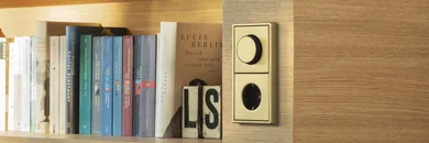 Bücherregal mit Büchern und rechts daneben Drehdimmer von Jung mit Steckdose.