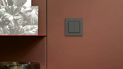 Ein dunkelgrauer Doppel-Lichtschalter ist an einer terrakottafarbenen Wand montiert. Links davon ist ein rotes Regalbrett zu sehen, auf dem ein Bild mit großen Blättern steht. Im unteren Bereich des Bildes ist ein Teil einer glänzenden Schale oder eines Gefäßes erkennbar.