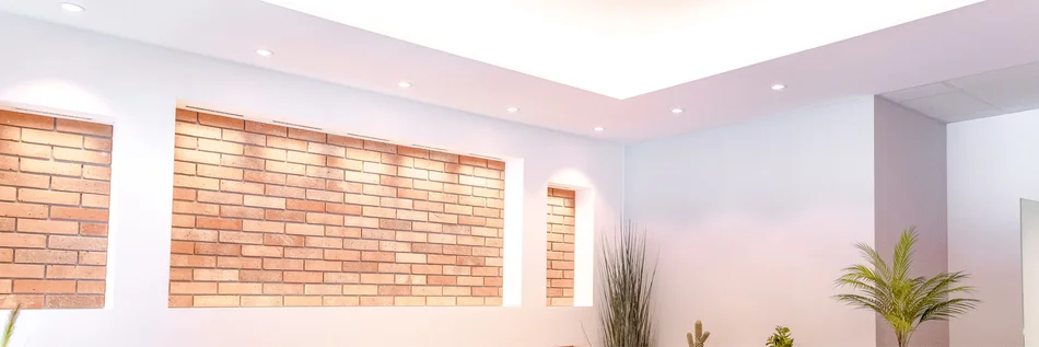 Das Bild zeigt eine Ecke in einem Raum mit weißen Wänden. In die linke Wand sind große beleuchtete Wandnischen eingelassen. Die Rückwand der Nischen besteht aus roten Backsteinen. In die Decke sind parallel zur Wand in regelmäßigen Abständen Downlights eingelassen. An der rechten Wand stehen einige größere Pflanzen verteilt.