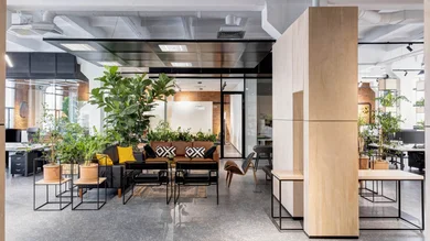 Ein modernes Büro mit Lounge-Bereich, Sofas und Sesseln, umgeben von vielen Pflanzen und großen Fenstern.