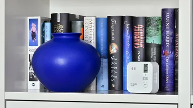 Blaue und bauchige Vase, die auf einem Bücherregal steht.
