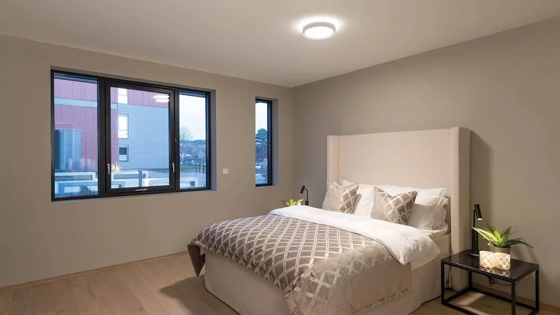 Das Bild zeigt ein modernes Schlafzimmer mit einem großen Bett, mehreren Kissen, zwei Nachttischen mit Lampen und Pflanzen sowie drei Fenstern an einer Wand.